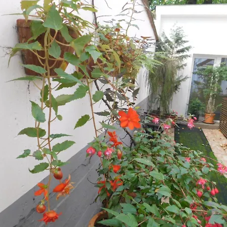 Appartamento Buda Trio