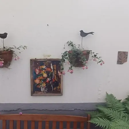Buda Trio Apartament