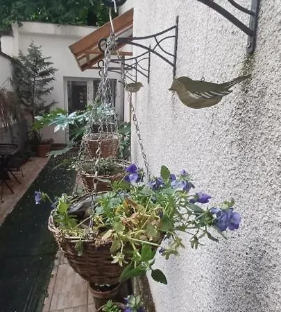 Buda Trio Apartament *