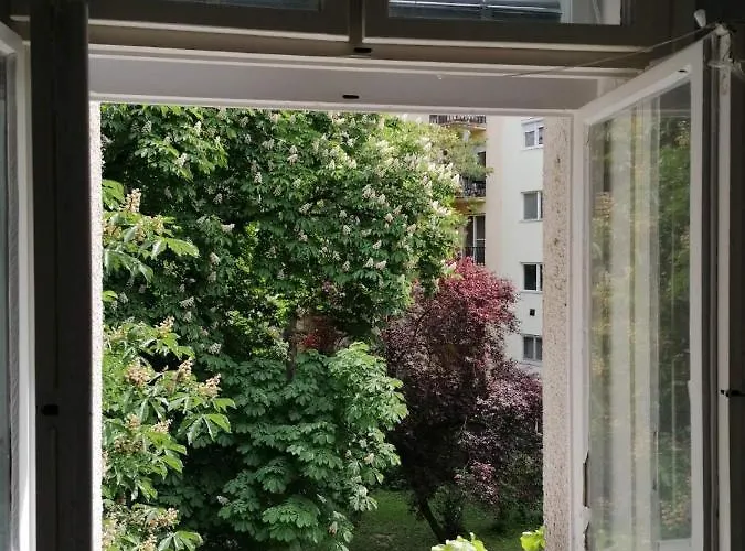 Buda Trió *