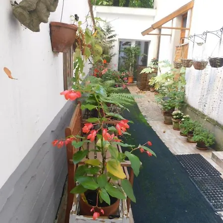 Apartamento Buda Trió *